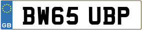 Truck License Plate